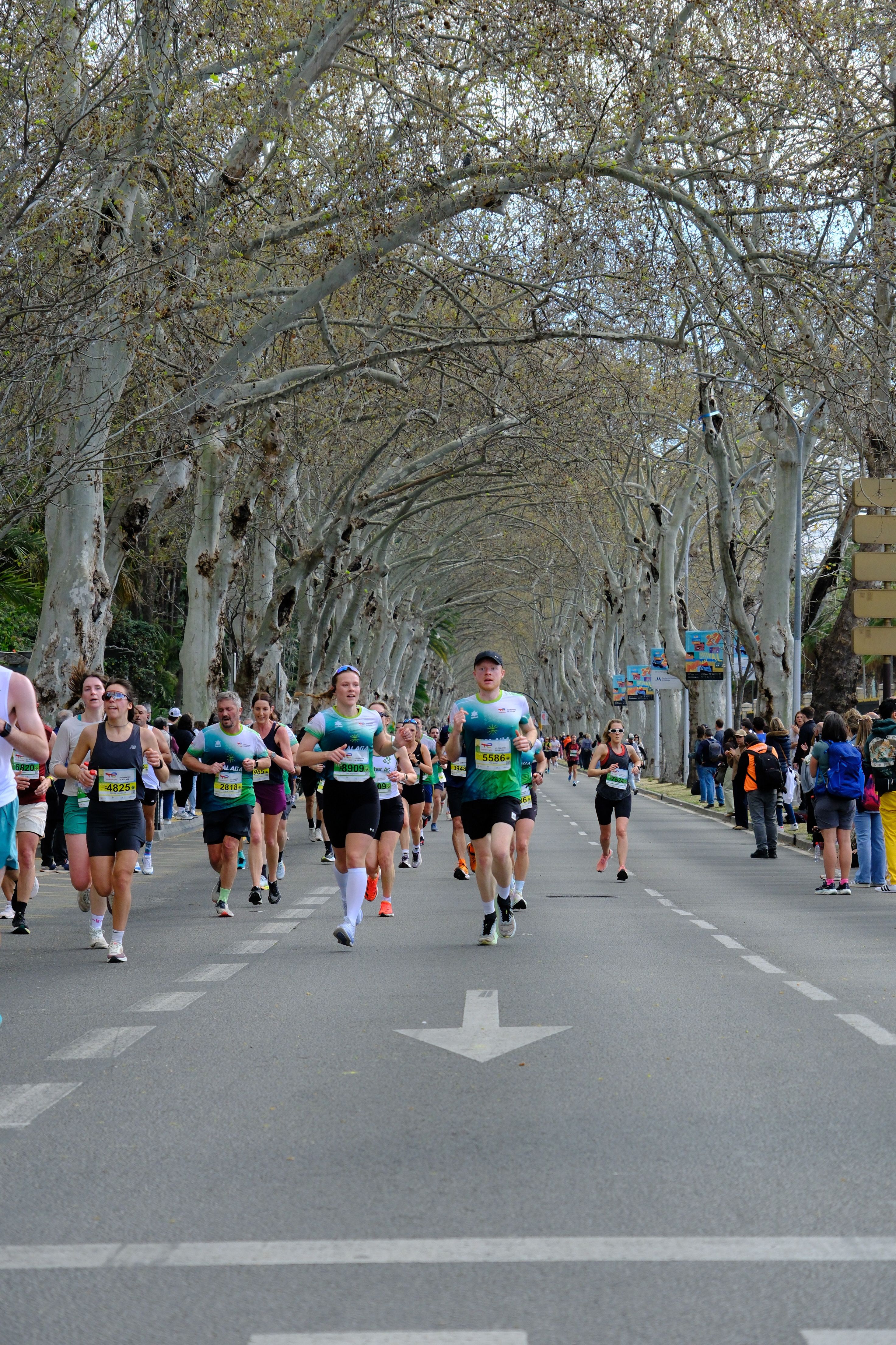 TotalEnergies Malaga Halbmarathon